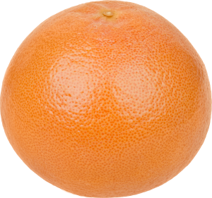 Grapefruit PNG-15264